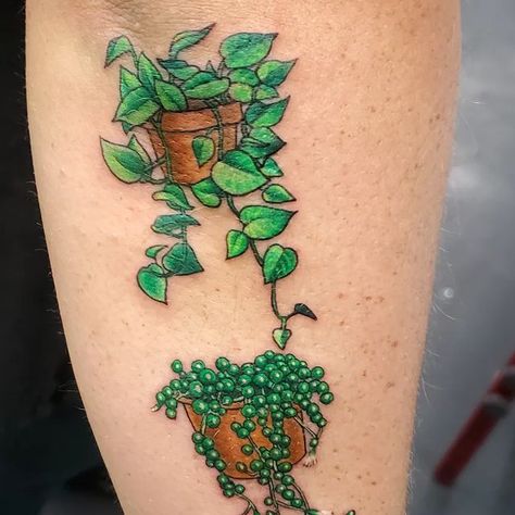 Eliud "Lu" Herrera on Instagram: ""To plant a garden is to believe in tomorrow. " -Audrey Hepburn  . . . . #houseplants #plants #garden #greenthumb #floral #plantparent #planting #planted #planttattoo #leaves #foliage #life #gardening #tattoo #tattooed #tattooart #tattooartist #houstontattooartist #houstonartist #houstontattoo #downtownhouston #htx #houston #downtown #texastattoo #redeyegallery" Houseplant Tattoos, Hanging Plant Tattoo, Potted Plant Tattoo, Houseplant Tattoo, Gardening Tattoo, Htx Houston, Houston Tattoos, Texas Tattoos, Plant A Garden