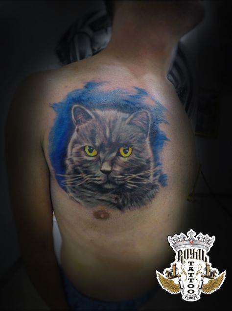 british shorthair cat Tattoo Realistic Drawing freehand tattoo www.NoktaArt.com Cat Tattoo Realistic, British Cat, Realistic Drawing, Shorthair Cat, British Shorthair Cats, British Shorthair, Realistic Drawings, Cat Tattoo, Watercolor Tattoo