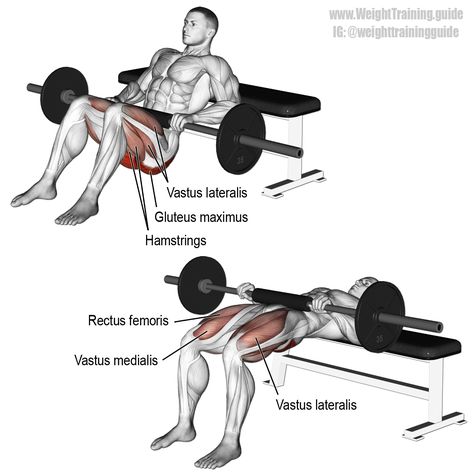 Gluteus Minimus Exercises, Barbell Hip Thrust, Glute Exercises, Gluteus Maximus, Weight Training Workouts, Hip Thrust, Gym Workout Tips, Leg Day, Lower Body Workout