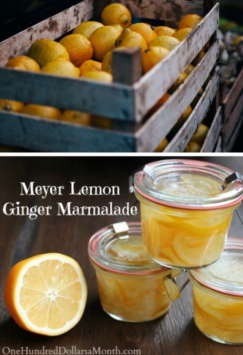 Ginger Marmalade Recipe, Ginger Marmalade, Meyer Lemon Recipes, Lemon Marmalade, Canning 101, Marmalade Recipe, Lemon Ginger, Jam And Jelly, Vegetable Drinks