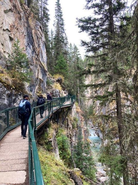 Johnston Canyon, Canadian Travel, Travel Spots, Lake Louise, Banff National Park, Round Trip, Calgary, Road Trip, National Parks