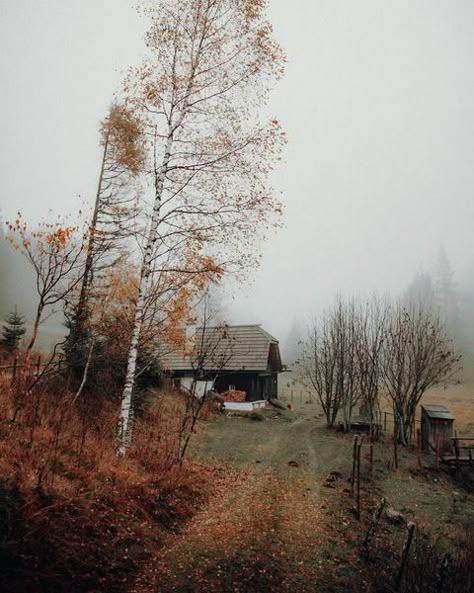 October Mist, Harvest Farm, Fall Lovers, Brown House, Cozy Autumn, Cabin In The Woods, Autumn Vibes, Autumn Halloween, Autumn Cozy