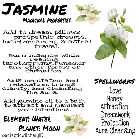 11 Likes, 0 Comments - EclecticWitcheryIG (@eclecticwitcheryig) on Instagram: “🌿 J A S M I N E 🌿 Magickal properties 🔮 So many uses for this little flower, and I've been using…” Flower Magical Properties, Flower Correspondences Witchcraft, Orchid Witchcraft, Flower Moon Spells, Chamomile In Witchcraft, Moon Magick, Jasmine Oil, Aura Cleansing, Dream Pillow