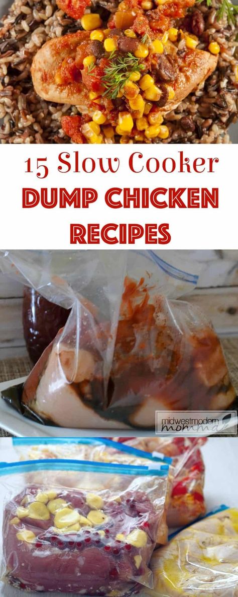 Best Crockpot Chicken Recipes, Dump Chicken Recipes, Crock Pot Dump, Slow Cooker Dump, Dump Chicken, Best Crockpot Chicken, Best Crockpot, Dump Meals, Easy Slow Cooker Recipes