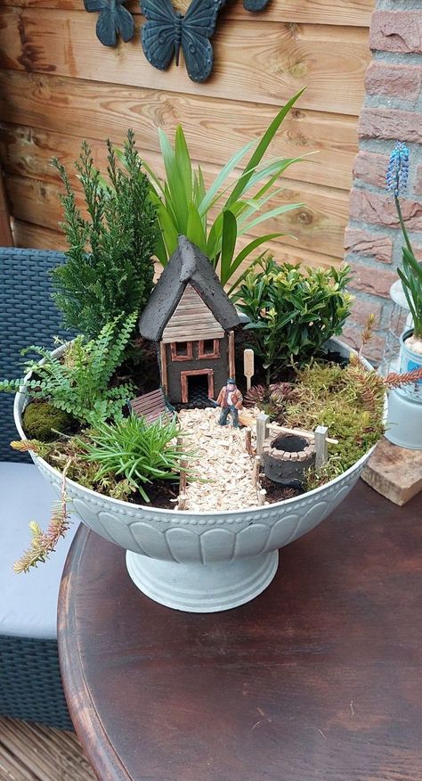 Best gardener garden projects garden outdoor gardening landscapi Miniature Fairy Garden Diy, Mini Cactus Garden, Succulent Garden Landscape, Fairy Garden Pots, Succulent Planter Diy, Teacup Gardens, Zen Garden Design, Backyard Garden Layout, Succulent Garden Design