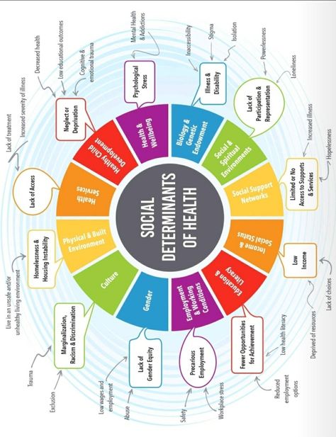 Yoga Learning, Public Health Career, Health Disparities, Nurse Education, Population Health Management, Health And Social Care, Health Equity, Community Health Worker, Exercise Science