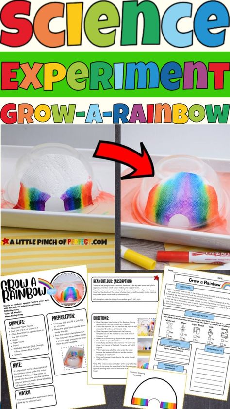 The GROW-A-RAINBOW SCIENCE Experiment Activity Pack is set up so all you have to do is print the activity pack, gather the supplies and do the experiment. It keeps things easy for you and fun for your kids as they learn about absorption and capillary action. The LEARNING WORKSHEETS come in level 1 and level 2 for you to choose the best fit for your classroom. This also works great for a homeschool or classroom with multi-ages while performing the same science experiment. Paper Towel Experiment, Grow A Rainbow, Kids Science Experiment, Rainbow Science, Rainbow Experiment, Homeschool Science Experiments, Capillary Action, Rainbow Activities, Chemical Science