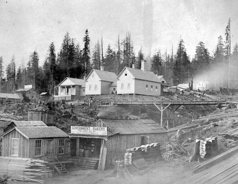 New Westminster Named Capital - British Columbia - An Untold History Logging Industry, The Narrows, Westminster Bridge, Royal City, New Westminster, Houses Of Parliament, Cable Car, Westminster Abbey, Park Hotel