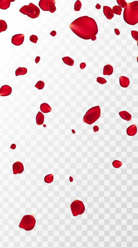 Abstract background with flying red rose petals on a white transparent background. Vector illustration. EPS 10. Rose petals vector illustration Rose Petals Background, Rose Petals Falling, Vector Rose, Rose Illustration, Red Rose Petals, Red Petals, Wedding Aisle, Illustration Vector, Abstract Background