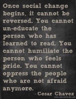 Cesar Chavez Quotes, Social Justice Quotes, Justice Quotes, Cesar Chavez, It Goes On, Social Change, A Quote, Learn To Read, Social Justice