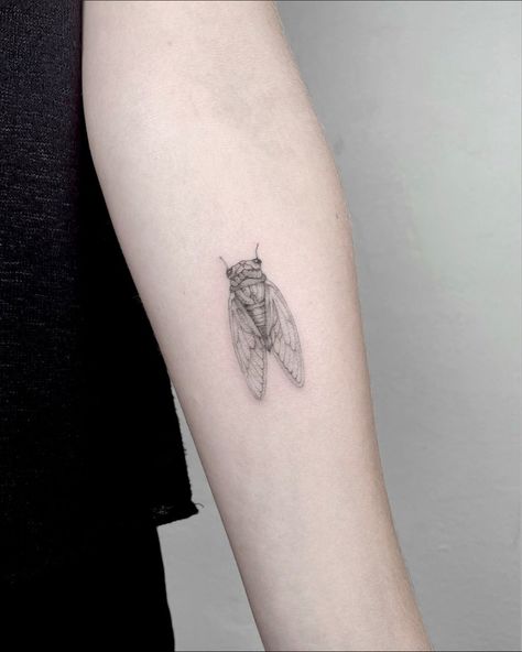 Cicada Tattoo Meaning, Small Cicada Tattoo, Simple Cicada Tattoo, Cicada Tattoo Design, Florence Tattoo, Cicada Tattoo, Brothers Tattoo, Botanical Tattoos, Ab Tattoo