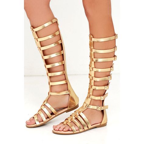 Alexandria Gold Tall Gladiator Sandals ($32) ❤ liked on Polyvore featuring shoes, sandals, gold, adjustable gladiator sandals, gold gladiator sandals, zipper gladiator sandals, metallic gold shoes and tall gladiator sandals Rome Costume, Tall Gladiator Sandals, Gladiator Tattoo, Gold Gladiator Sandals, Basic Sandals, Gladiator Boots, Cotton Scarves, Unique Scarf, Gladiator Shoes