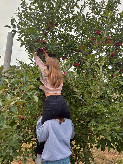 Strawberry Picking Aesthetic Friends, Apple Picking With Boyfriend, Picking Apples Aesthetic, Raspberry Picking Aesthetic, Picking Berries Aesthetic, Peach Picking Photoshoot, Peach Picking Aesthetic, Fruit Picking Photoshoot, Picking Fruit Aesthetic