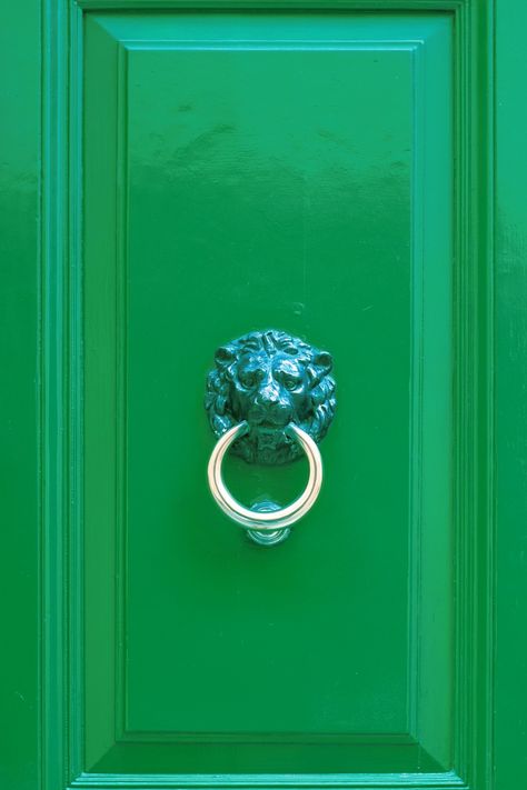 Phone Gif, Green Chakra, Window Sills, Spring 2025, Green Forest, Pretty Green, Color Inspo, Door Knockers, Vibrant Green