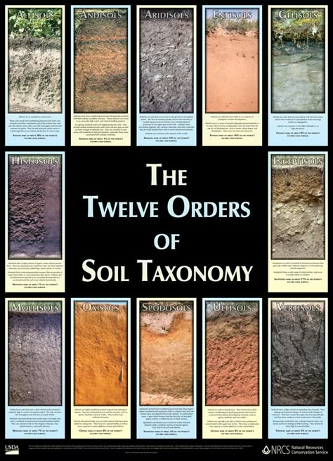 Soil Classification, Agriculture Education, Outdoor Education, Plant Science, Organic Gardening Tips, Soil Health, Organic Vegetables, Garden Soil, Environmental Science