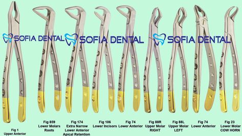 dental hygienist dental extraction forceps Dental Tools Names, Dental Assistant Study Guide, Dental Notes, Animal Backgrounds, Registered Dental Assistant, Dental Assistant School, Dentistry Design, Dental Assistant Study, Dentist Assistant