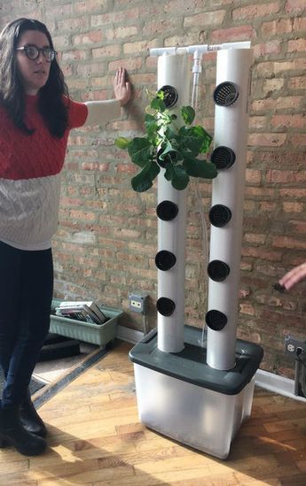 Vertical Aquaponics, Hydroponic Gardening Diy, Aquaponics Diy, Hydroponic Farming, Hydroponics Diy, Vertical Vegetable Garden, Aquaponic Gardening, Vertical Garden Diy, Plants Growing