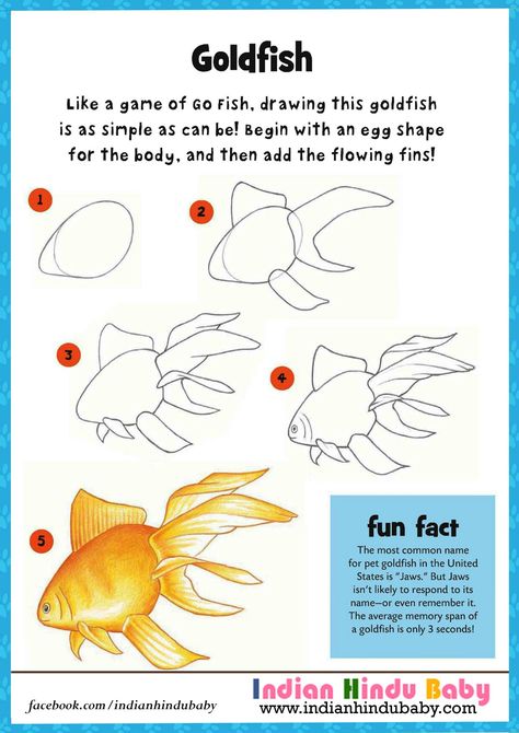 Do you know the average memory span of gold fish is 3 seconds. Teach your kid to draw gold fish with simple drawing tips Fish Realistic Drawing, Gold Fish Sketch, Beta Fish Drawing, Fish Drawing For Kids, Goldfish Watercolor, Gold Fish Painting, Watercolor Painting Easy, Drawing Fish, Painted Window Art