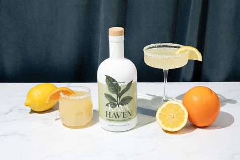 Kava Haven | Kava-Infused Non-Alcoholic Spirit Mocktails Non Alcoholic, October Events, Orange Dream, January 25, Night Ideas, Social Gathering, Brewing Company, Non Alcoholic, Cocktail Drinks