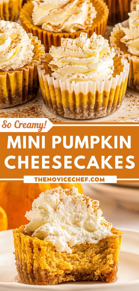 Look no further for the best bite-sized fall treat. Here's a new pumpkin-flavored treat to try. And you're going to love it! These Mini Pumpkin Cheesecakes have a velvety rich filling with a buttery graham cracker crust. Every bite has flavor from the warm fall spices and is perfectly creamy and rich! Pumpkin Cheesecake In Muffin Tin, Cheesecake Bites Pumpkin, Pumpkin Spice Pastries, Gluten Free Pumpkin Cheesecake Bites, Pumpkin Spice Mini Cheesecakes, Pumpkin Cheesecakes Mini, Mini Pumpkin Cheesecake Recipes Easy, Deserts For Friendsgiving, Pumpkin Pie Mini Cheesecakes