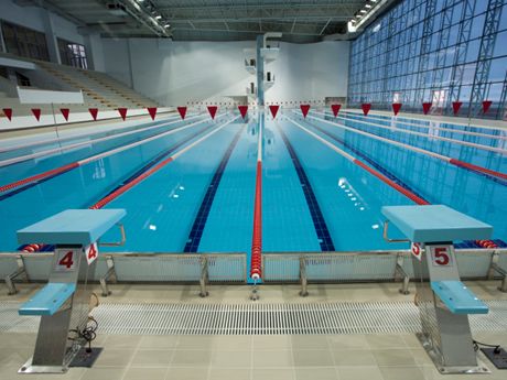 The Training Benefits of an Olympic-Size Pool Olympic Size Swimming Pool, Swimming Photography, Olympic Swimming, Pool Contractors, Swimming Quotes, Swim Mom, Sport Park, Swim Meet, Pool Construction