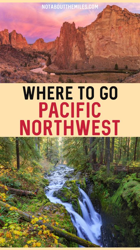 Discover the best places to visit in the Pacific Northwest states of Oregon and Washington! National parks, vibrant cities, scenic drives and more. best places to go in the Pacific Northwest | most beautiful places in the Pacific Northwest | Pacific Northwest places to visit | PNW bucket list | travel destinations in the Pacific NW | PNW travel guide | best places to visit in the PNW | best places to visit in the PNW | Oregon waterfalls | Washington national parks | things to do in the PNW Pnw Travel Bucket Lists, Pacific Northwest Camping, Washington National Parks, Northwest Pacific, Cheap Vacation Destinations, Bucket List Travel Destinations, Pnw Travel, Pnw Oregon, Usa Travel Map