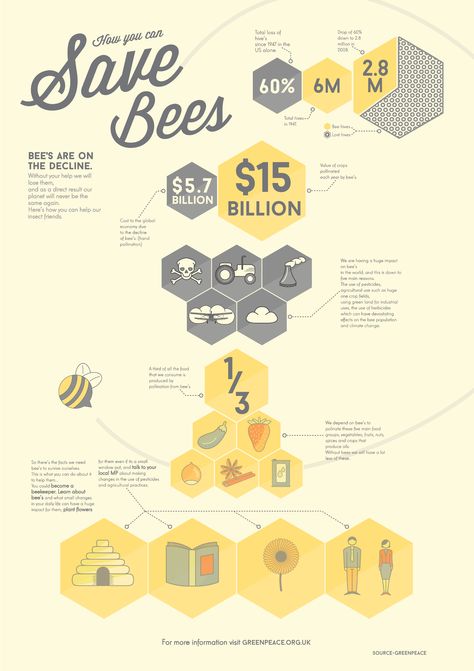 Infographic to help gain awareness on the decline of bee's and the effect it has on us Bees Infographic, Honey Bee Infographic, Bee Infographic Design, Honey Infographic, Bees Graphic Design, Bee Infographic, Bee Poster, Bee Diagram, Photoshop Illustration Tutorial