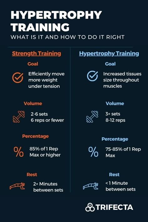 If you're looking to train and get make your muscles larger then look no further. Get all the information you need on the benefits of hypertrophy training! Hypertrophy Vs Strength, Hyperthropy Training, Hypertrophy Workout Women, Hybrid Training Workout, Hypertrophy Workout Training Programs, Arnold Training, Hypertrophy Workout, Hypertrophy Training, Ectomorph Workout