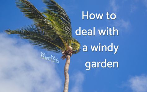 Windy Garden Ideas, Wind Garden, Wind Break, Windy Weather, Landscape Plans, Strong Wind, Design Advice, Gardening Tips, In The Garden