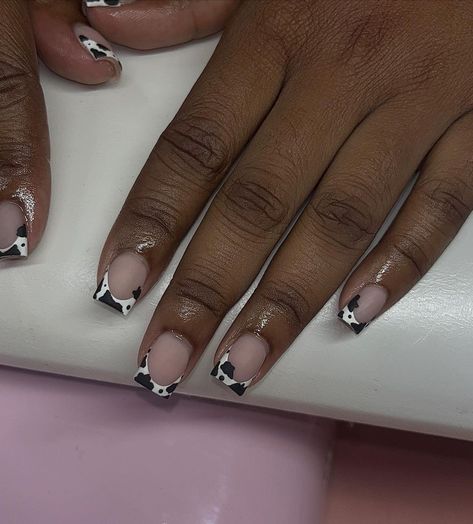 Black Nails With One Finger Design, Brown Cow French Tip Nails, Nails Ideas Cow Print, French Tip Western Nails, Short Nail Designs Cow Print, Country Inspired Nails, Cow Nails Short, Almond Cow Print Nails, Black Cow Print Nails