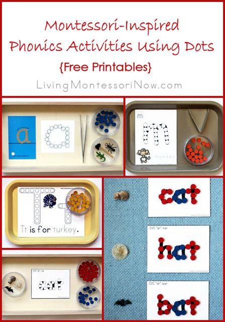 Blog post at LivingMontessoriNow.com : I had a lot of fun with my post today, finding free printables for phonics activities using wooden dots. This is a sponsored post written b[..] Montessori Lesson Plans Template, Montessori Phonics, Montessori Lesson Plans, Reception Class, Montessori Language, Montessori Lessons, Activity Bags, Dots Free, Montessori Homeschool