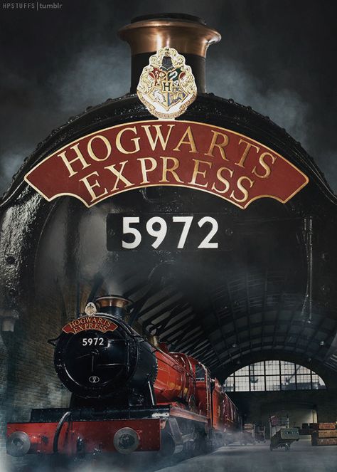 Blaise Harry Potter, Harry Potter Stuff, Hery Potter, Harry Potter Train, Hogwarts Express Train, The Hogwarts Express, Harry Potter Background, Harry Potter Poster, Buku Harry Potter