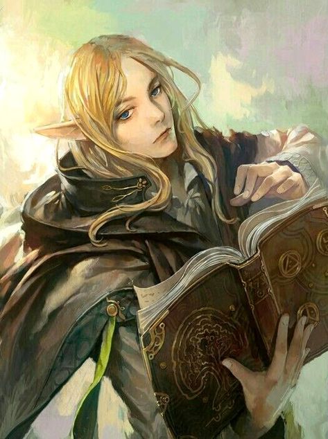 Elf Scholar Dnd Elves, Male Elf, Elves Fantasy, Female Elf, Elf Art, High Elf, Dungeons And Dragons Characters, Arte Fantasy, Fantasy Rpg