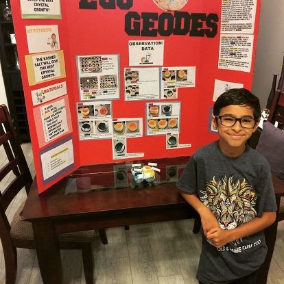 science fair experiment egg geodes Geode Science Fair Project, Rock Science Fair Project, Science Fair Topics, Egg Geodes, Science Fair Display Board, Science Fair Board, Science Fair Experiments, Science Fair Projects Boards, Rock Science