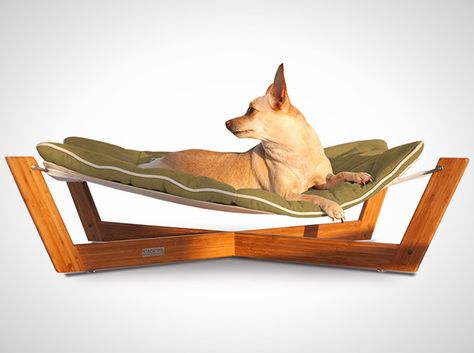 Pet Lounge Studios Bambu Cross Hammock Dog Hammock, Pet Hammock, Cool Dog Beds, Rescue Dogs, Charles Spaniel, Dog Behavior, Cavalier King Charles Spaniel, Cavalier King Charles, Pet Beds