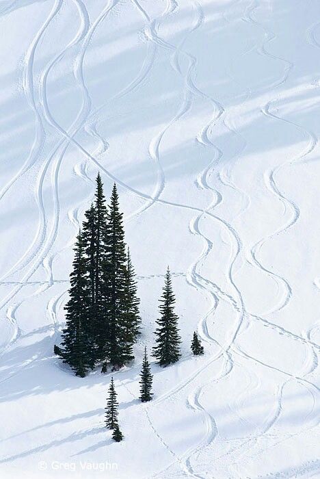 Snow Tracks, I Love Snow, Ski Trails, Winter's Tale, I Love Winter, Mount Rainier National Park, Paradise Valley, Winter Magic, Winter Scenery