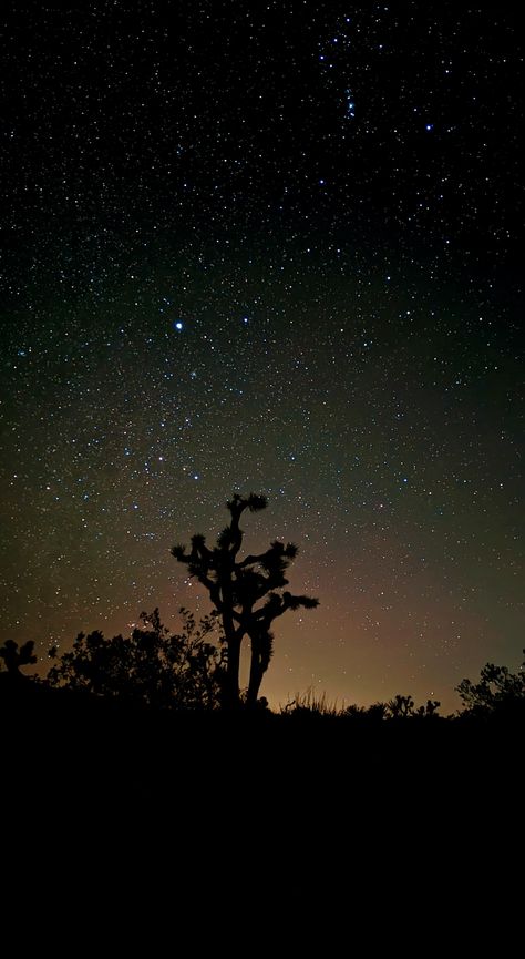 Astrophotography at Joshua tree national park Joshua Tree Night Sky, Joshua Tree Stargazing, Joshua Tree At Night, Joshua Tree Night, 2025 Vison, Joshua Tree Wedding, Drawer Organization, Vision Board Photos, Desert Sunset