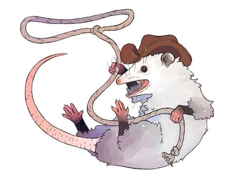 Possum Pfp Drawing, Cowboy Possum Tattoo, Cute Possum Art, Possum Character Design, Opposum Drawings, Cute Opossum Drawing, Possum Tattoo Simple, Opossum Cowboy, Cowboy Opossum