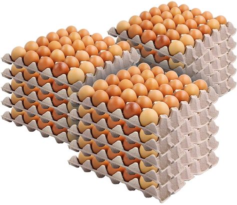 Recyclable & Stackable Pulp Fiber Egg Flats for Packing Eggs, Small Tools, Automotive Parts - Cardboard Egg Cartons for Soundproofing for Walls Crates Of Eggs, Eggs In Carton, Egg Pictures Image, Egg Shop, Eggs Image, Egg Pictures, Photoshop Tutorial Typography, Egg Crates, Egg Tray