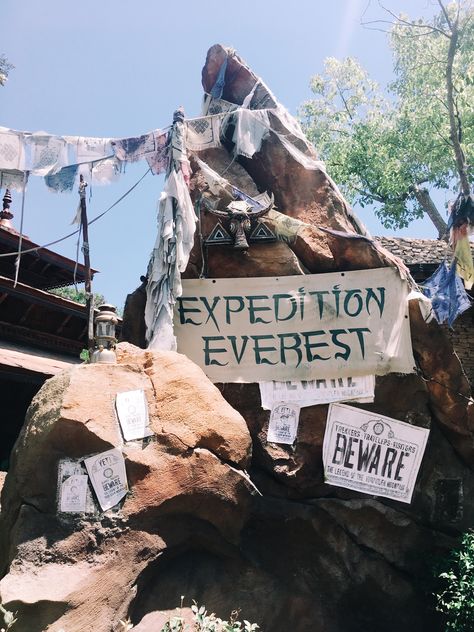 Expedition Everest, Disneyland World, Disney Photo Ideas, Disney Photography, Disney Photos, Disney Aesthetic, Disney Life, Disney Theme Parks, Happiest Place On Earth