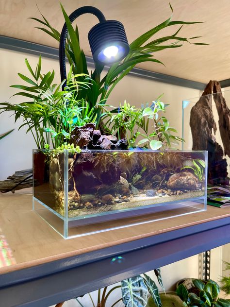 Nano Tank Aquascape Ideas, River Aquascape, Betta Aquascape, Snail Tank, Biotope Aquarium, Fish Tank Stand, Fish Tank Terrarium, Rivers Edge, Aquascape Design