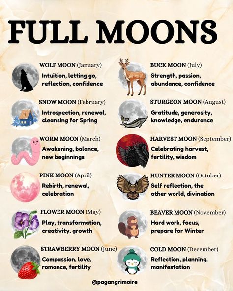 Discover the magic of the moon with our Full Moon guide, detailing each lunar phase, its intentions for moon rituals, and Full Moon names. From the Wolf Moon to the Cold Moon, learn how to harness the energy of each full moon for reflection, manifestation, spells, and personal growth as a witch or one looking to do some manifesting. 🌕✨ #FullMoon#MoonMagic #LunarPhases Full Moon Calendar, Full Moon Names, Names And Meanings, Sturgeon Moon, Lunar Witch, Manifestation Spells, Moon Names, Cold Moon, Moon Rituals