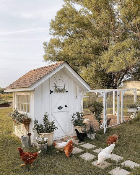 Cute Chicken Coops, Chicken Coop Garden, Backyard Chicken Coop Plans, Backyard Chicken Farming, Coop Plans, Dream Life House, Backyard Chicken Coops, Cute Chickens, Backyard Farming