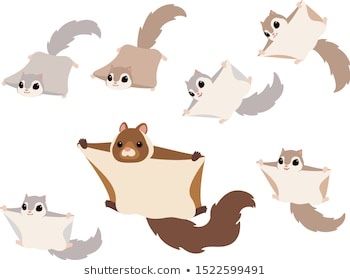 Flying Squirrel Character Design, Flying Squirrel Illustration, Flying Squirrel Drawing, Japanese Flying Squirrel, Squirrel Painting, Squirrel Illustration, Breastfeeding Art, Squirrel Art, 2d Game Art