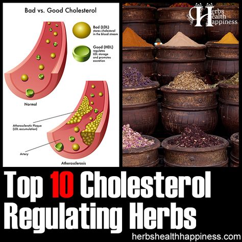 Top 10 Cholesterol Regulating... - Herbs and Natural Remedies High Cholesterol Remedies, Hormonal Weight Gain, Cardiovascular Disorders, Cholesterol Remedies, Ldl Cholesterol, Fenugreek Seeds, Growth Hormone, High Cholesterol, Cholesterol Levels