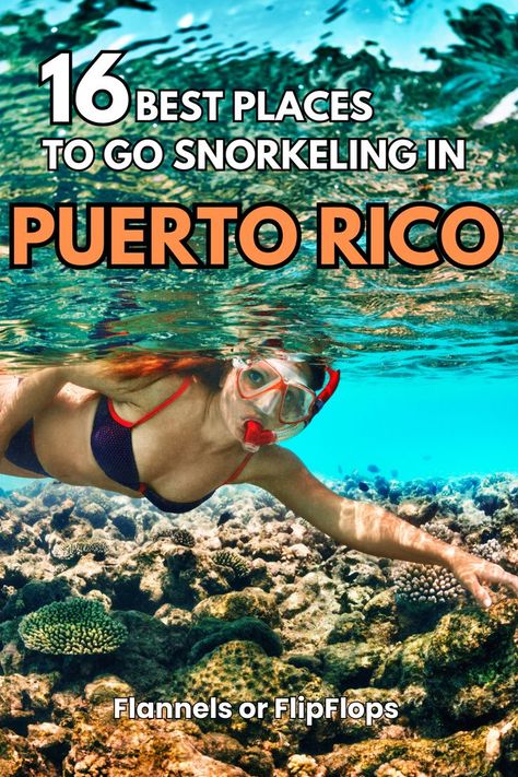 A woman snorkeling in Puerto Rico. Condado Beach Puerto Rico, Icacos Island Puerto Rico, Puerto Rico Snorkeling, Luquillo Puerto Rico, Condado Puerto Rico, Dorado Puerto Rico, Aguadilla Puerto Rico, Underwater Beauty, Prettiest Beach