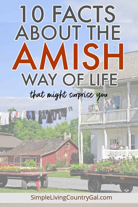 We will highlight ten facts of Amish life that are inspiring for those of us on the outside looking in. From work ethic to community, learn how the Amish blend tradition with practicality. You'll find insights into their strong values of family, work ethic, and happiness that reveal a lifestyle rich in community spirit and meaningful connections. #amishlifestyle #amish Amish Lifestyle Ideas, Amish Home Remedies, Amish Proverbs, Pioneer Lifestyle, Amish Ways Of Living, Amish Men, Amish Living, Amish Lifestyle, Funny Amish Memes