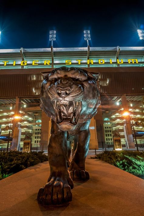 Tiger Statue Lsu Tigers Art, Lsu Tiger Stadium, Lsu College, Tiger Statue, Tiger Stadium, Lsu Tigers Football, Louisiana Homes, Lsu Football, Statues For Sale