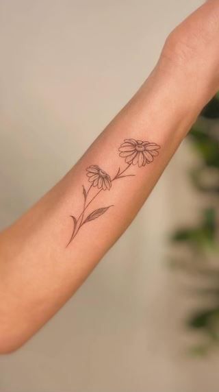 Berber Daisy Tattoo, Intertwined Daisy Tattoo, Double Daisy Tattoo, Daisy Losing Petals Tattoo, Forearm Daisy Tattoo, Vintage Daisy Tattoo, Dainty Gerber Daisy Tattoo, Daisy Bicep Tattoo, Gerber Flower Tattoo