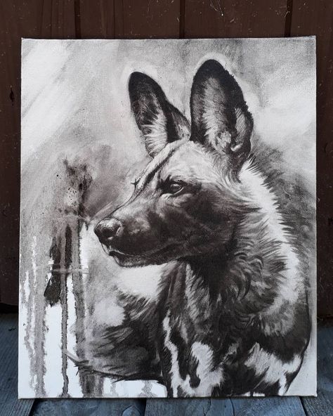 African Hunting Dog, Painted Dogs, Africa Trip, Wild Dog, African Wild Dog, Dog Sketch, Dog Artwork, Animal Portraits, Charcoal Art